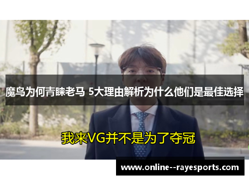 魔鸟为何青睐老马 5大理由解析为什么他们是最佳选择